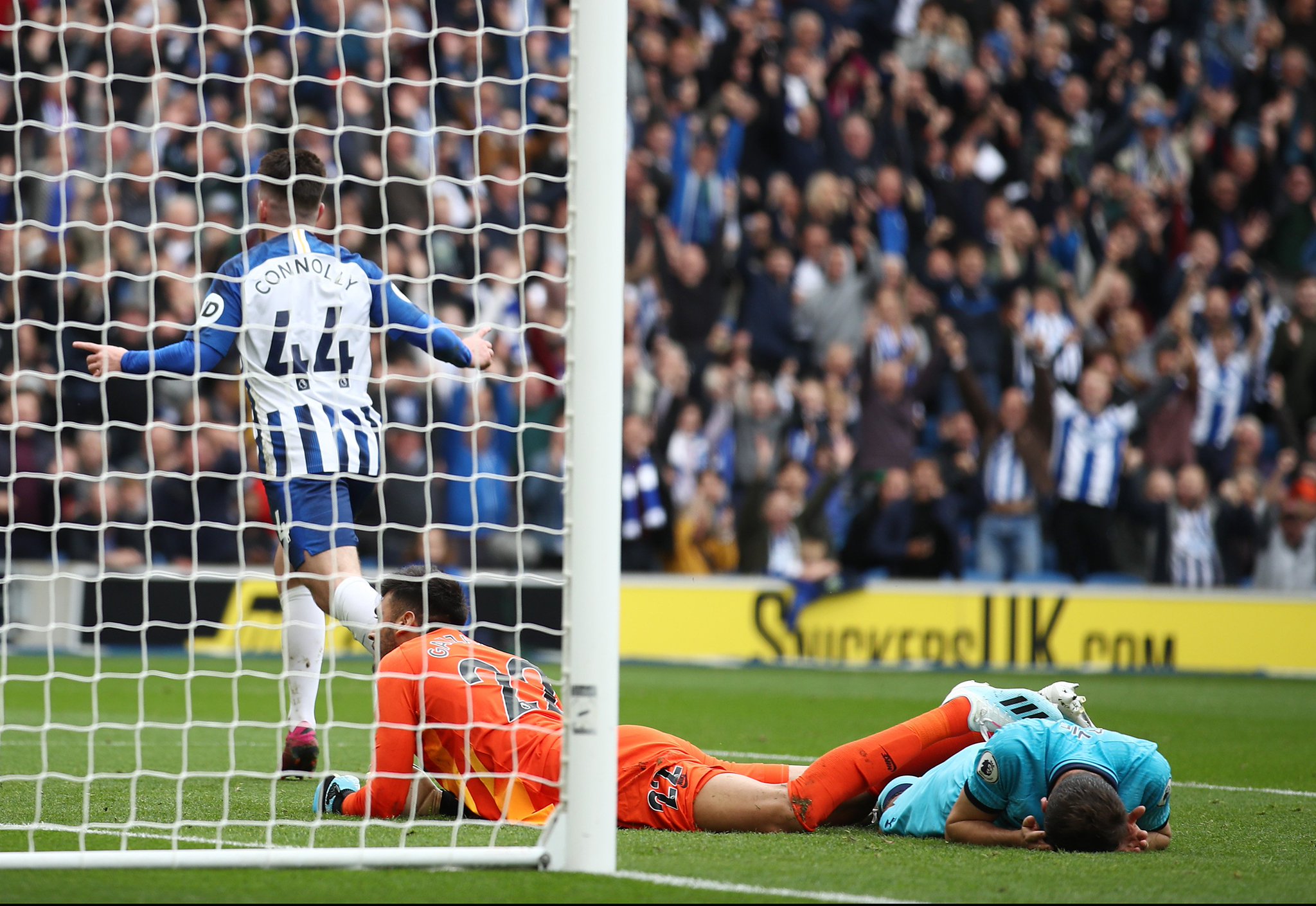 充满活力的 充满活力的