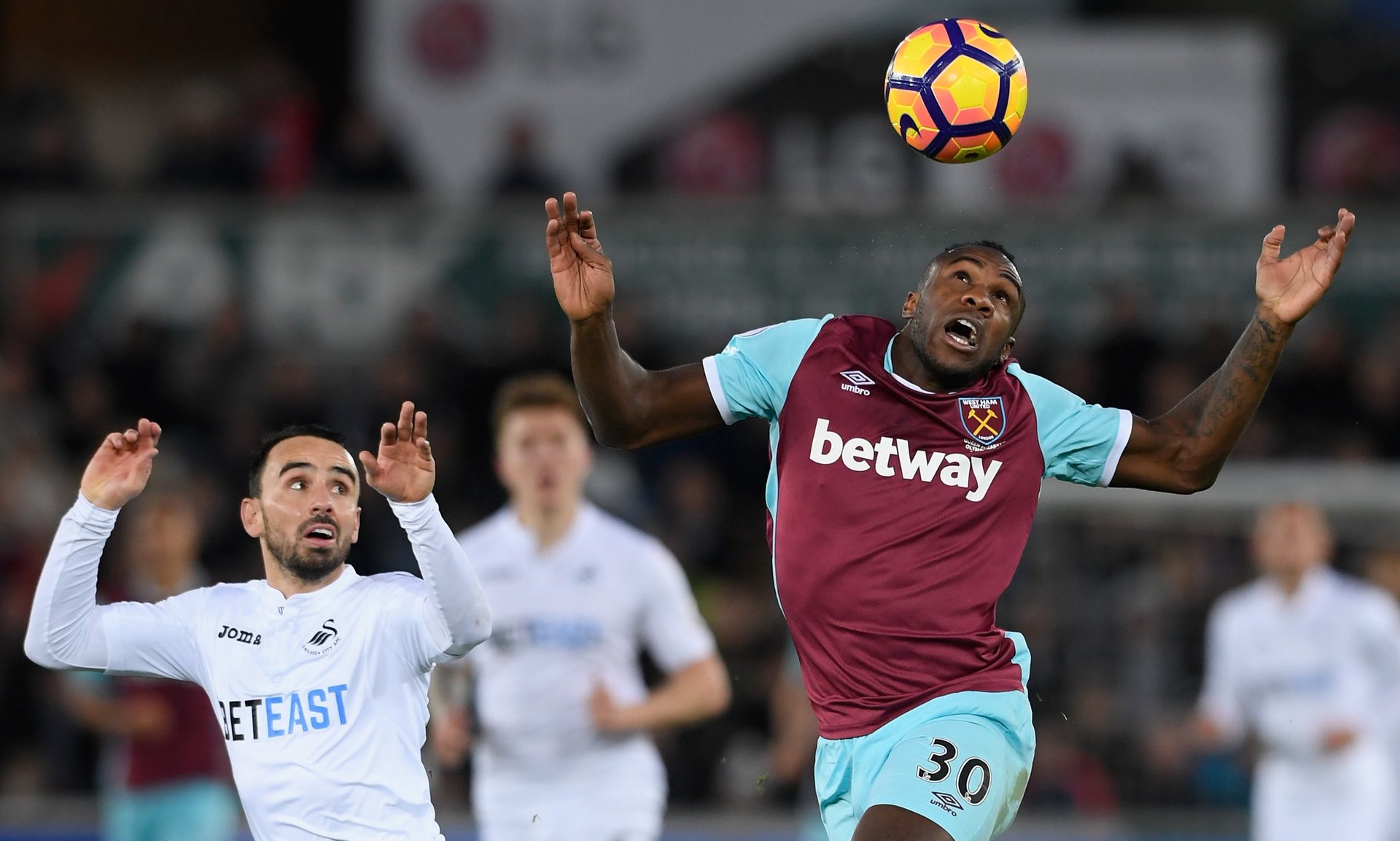 續發掘這種 續發掘這種